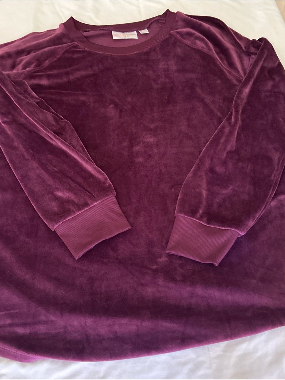 Belle by Kim Gravel Plush Velvet Crewneck Tunic - Plum